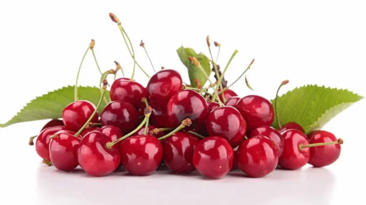 Lima Buah Enak Penurun Asam Urat