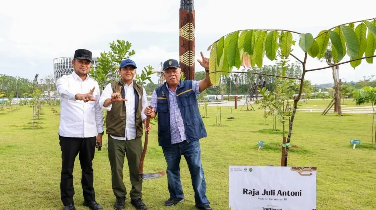 Wujudkan Kota Rimba, Kemenhut Pastikan Dukungan Penuh Penghijauan di IKN