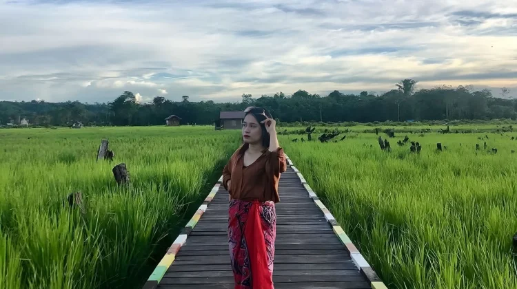 Atasi Kekurangan Lahan di Kubar, Kementan Siapkan Cetak Sawah Baru