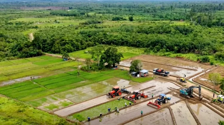 Pemprov Kaltim Mulai Survei Lokasi Cetak Sawah Baru di Kubar