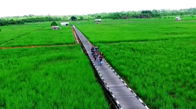 Lima Lokasi Potensial untuk Cetak Sawah Baru di Kutai Barat