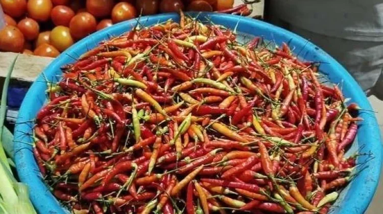 Harga Cabai di Pasar Nala Kubar Tembus Rp135 Ribu per Kilogram