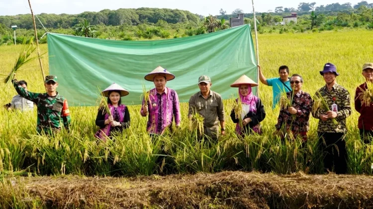 Bupati Kubar Larang Alih Fungsi Sawah demi Wujudkan Swasembada Pangan