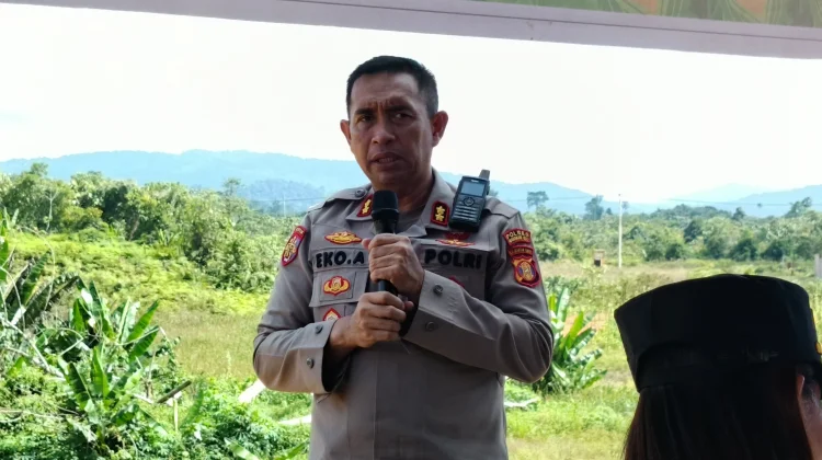 Penanaman Jagung Mahulu Dimulai di Desa Lutan