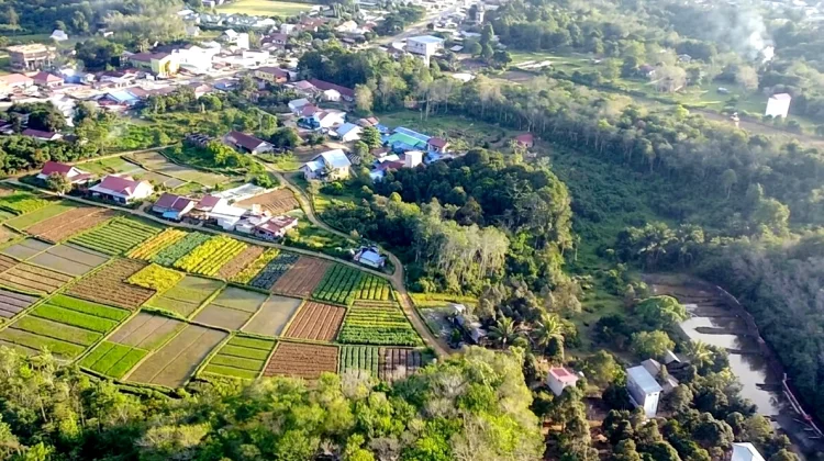 DPRD Kubar Siapkan Perda Perlindungan Lahan Pertanian dari Alih Fungsi