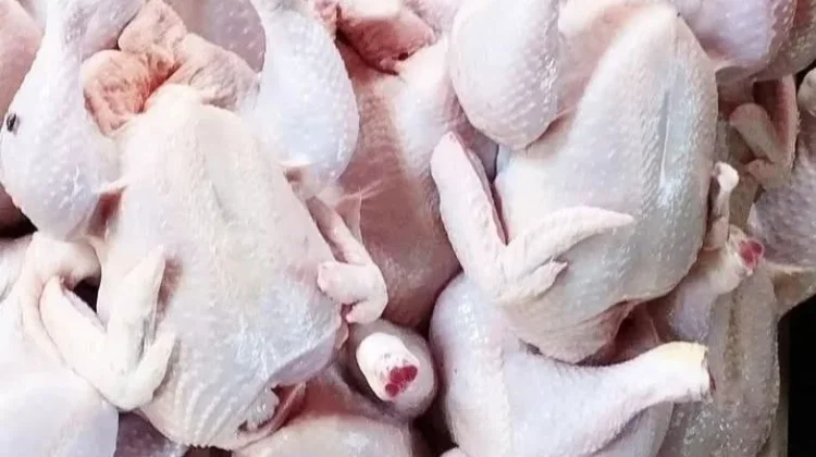 Pasca Lebaran Harga Daging Ayam Potong Mulai Turun