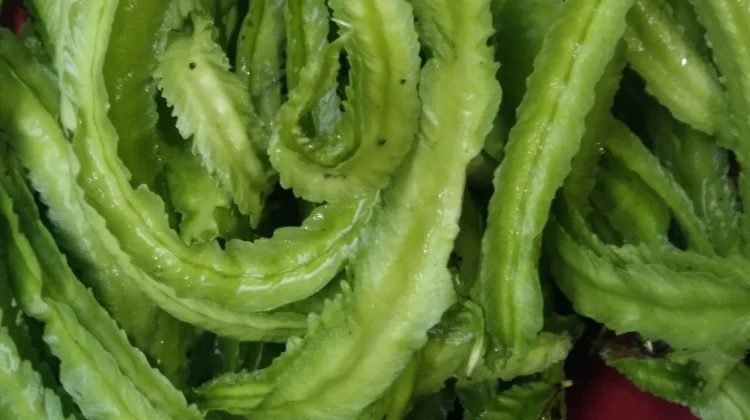 Manfaat Sayur Kecipir, Lezat dan Kaya Nutrisi