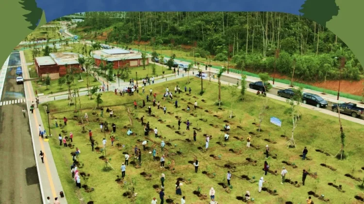 Wisata Sambil Menanam Pohon, Otorita Ajak Pengunjung Tinggalkan Jejak Hijau di IKN
