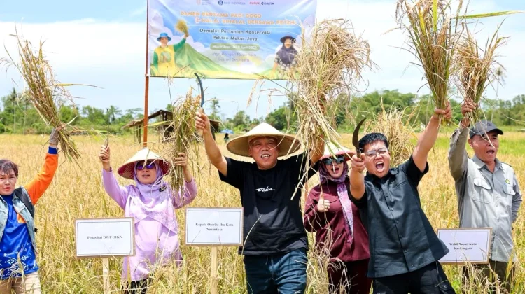Panen Perdana Padi Gogo di Nusantara Jadi Langkah Awal Pertanian Inovatif IKN