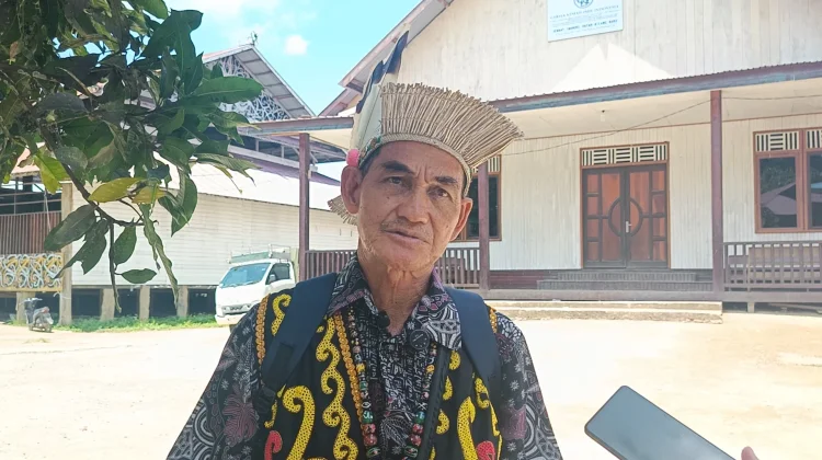 Ritual Mecak Undat Wujud Syukur Panen Padi Dayak Kenyah Mahulu