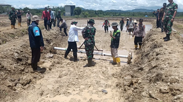 Program Cetak Sawah di Mahulu Fokus Lahan Baku Belum Terdaftar