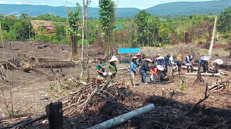Metro dan Bantul Perkuat Strategi Pertanian Hadapi Ancaman El Niño