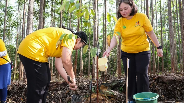 Mitra OIKN Tanami Pohon di Kawasan Miniatur Hutan Hujan Tropis