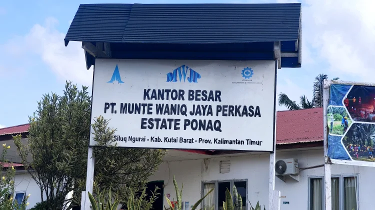 Koperasi Sawit Desak PT MWJP Verifikasi Ulang Lahan Plasma