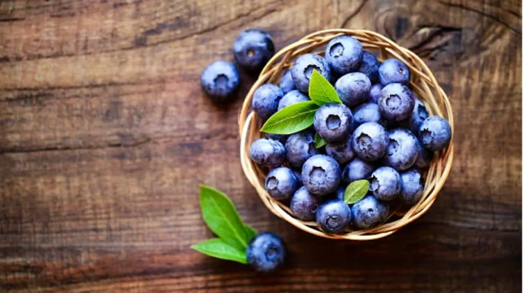 Kedahsyatan Nutrisi di Balik Butiran Blueberry
