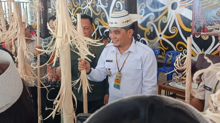 Tradisi Mecak Undat Lepek Majau Dayak Kenyah Wujud Syukur Panen Padi