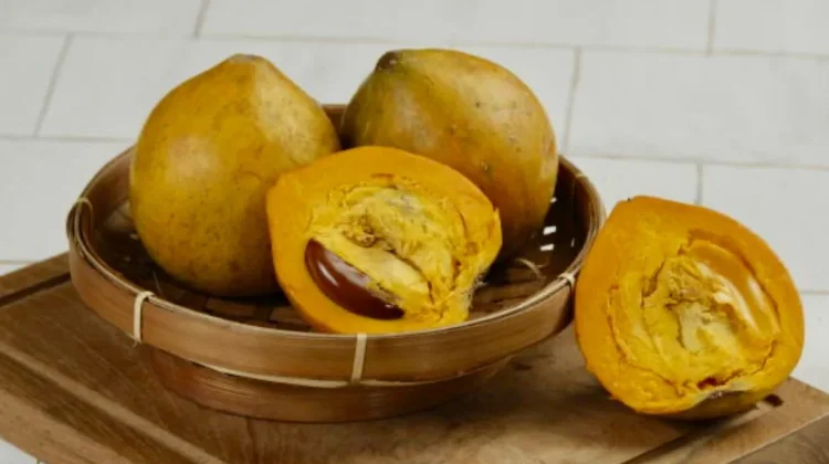 Si Kuning yang Manis: Menelusuri Khasiat Ajaib Buah Campolay