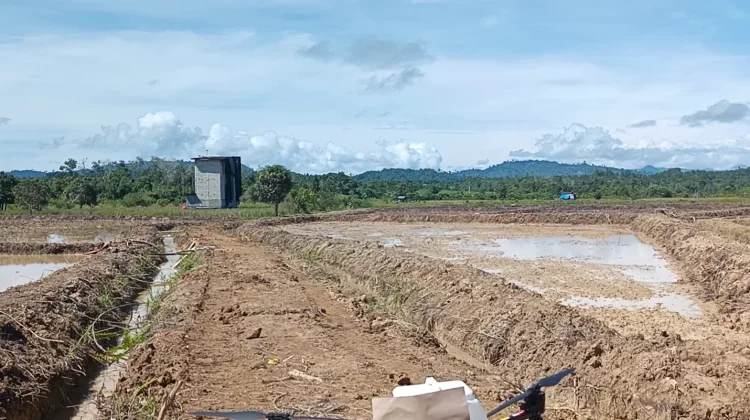 BUMKA Ujoh Bilang Siap Salurkan Pupuk Subsidi Pertanian