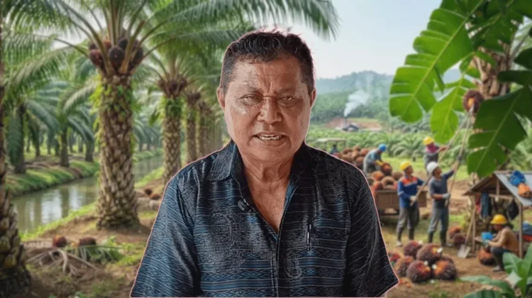 Keluhan Buruh Kutai Barat di May Day: Hak Tak Dibayar hingga PHK Sepihak