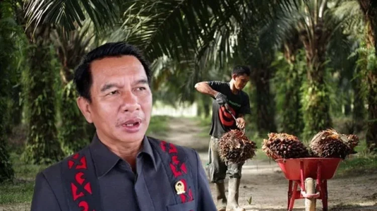 Potit Prediksi Ekonomi Kampung Penghasil Sawit Akan Menggeliat Dua Tahun Lagi
