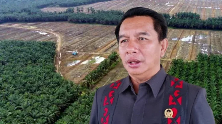 Program Sawit Rakyat  di Kubar Tak Merata, Ini Penyebabnya