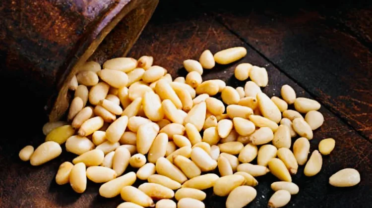 Kacang Pinus, Camilan Gurih yang Baik untuk Diet dan Kesehatan Jantung