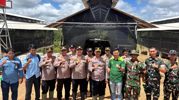 TNI-Polri dan Swasta Kolaborasi Dorong Ketahanan Pangan lewat Industrial Farming