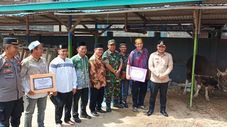 Pemkab Mahulu Salurkan 8 Sapi Kurban Iduladha 1447 H