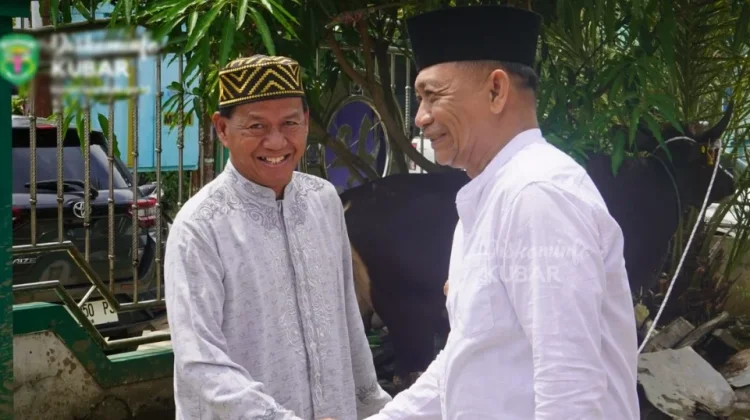 Sambut Iduladha, Pemkab Kubar Distribusikan 77 Sapi Kurban ke 16 Kecamatan