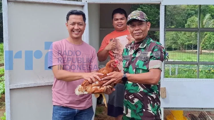 Kodim 0912/KBR dan Layung Farm Kembangkan Ayam Petelur dengan Kandang Terowongan