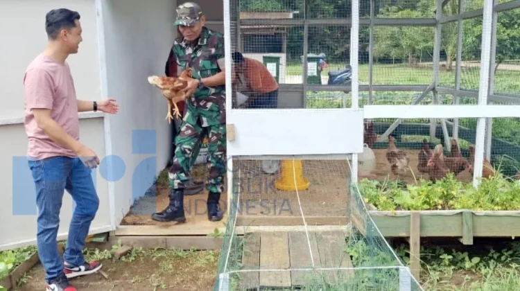 Dukung Program MBG, Layung Farm Dorong Pengembangan Ayam Petelur di Kodim 0912/KBR