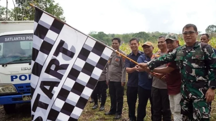 Hasil Panen Jagung Petani Kubar Mulai Diserap Bulog Kaltim
