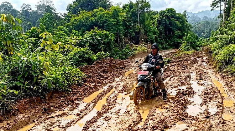 Status Kawasan Hutan Jadi Kendala Utama Pembangunan Jalan di Bongan