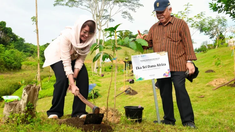 Aksi Iklim di IKN Diperkuat Melalui Gerakan Penanaman Pohon