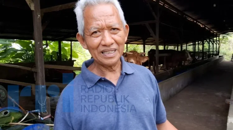 Pasar Belum Stabil, Produksi Pupuk Organik BUMP S3 Ikut Menurun