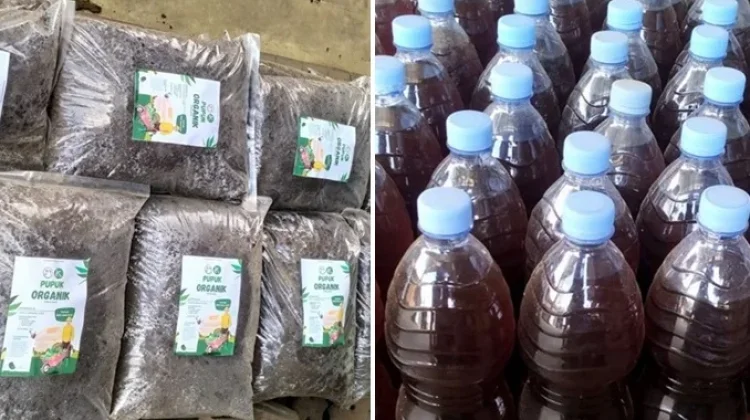 BUMP S3 Pasarkan Pupuk Organik Rp4.000 per Kilogram