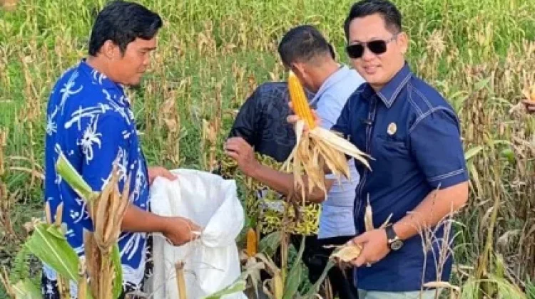Kampung Lutan Raih Status Mandiri Melalui Sektor Pertanian Unggulan