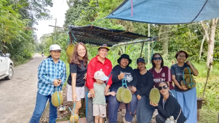 Tering Lama Tawarkan Sensasi Menikmati Durian Langsung di Kebun