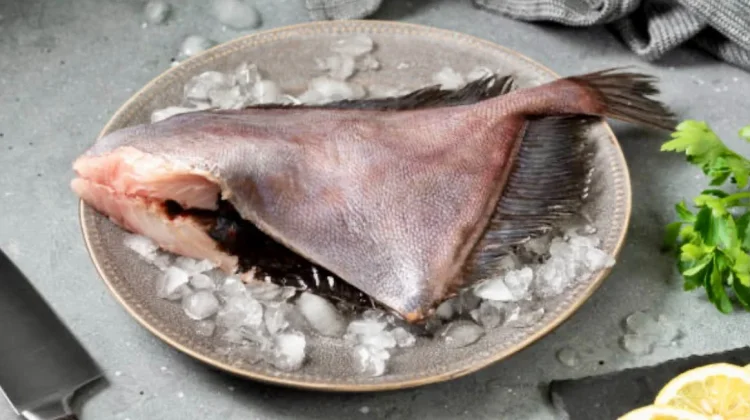 Tips Cerdas Mengolah Ikan Dori agar Nutrisinya Tetap Terjaga
