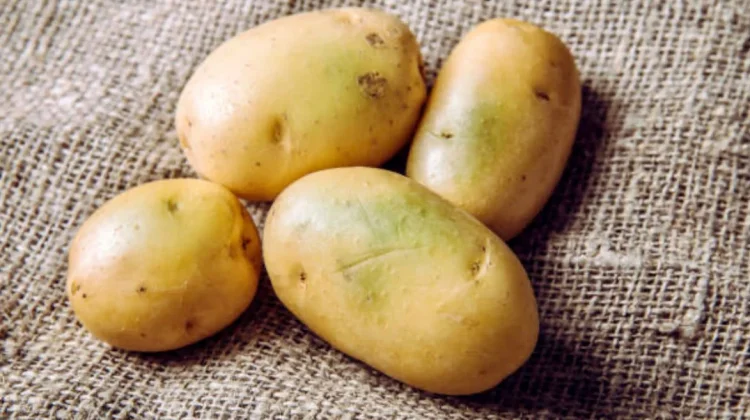 Tips Tepat Mengolah Kentang agar Nutrisinya Tetap Terjaga