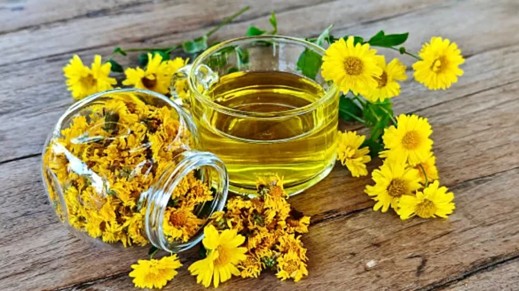 Cantik dan Menyehatkan, Ini Kebaikan Alami Chrysanthemum