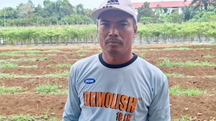 Petani Harapkan Dukungan Pemerintah Perkuat Ketahanan Pangan Daerah