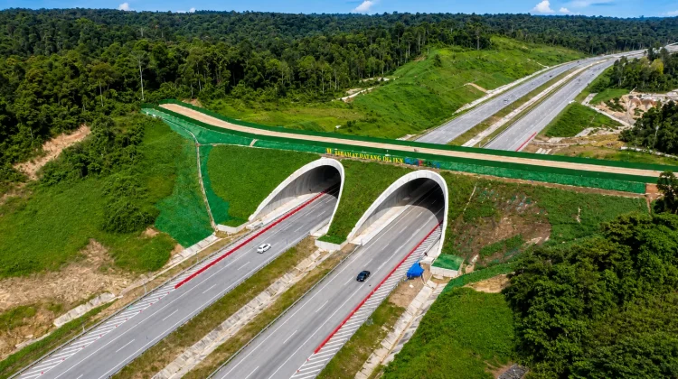 Mulai Difungsikan, Jembatan Satwa di Tol IKN Jadi Koridor Aman Satwa Liar
