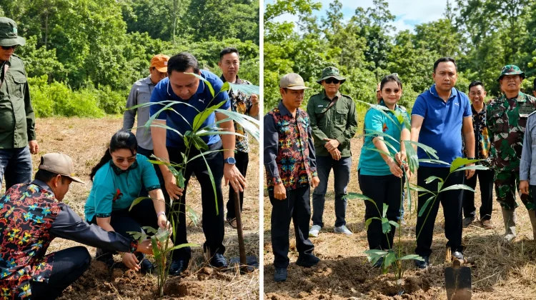 Pemkab Kubar dan WWF Tanam Aren untuk Jaga Habitat Pesut Mahakam