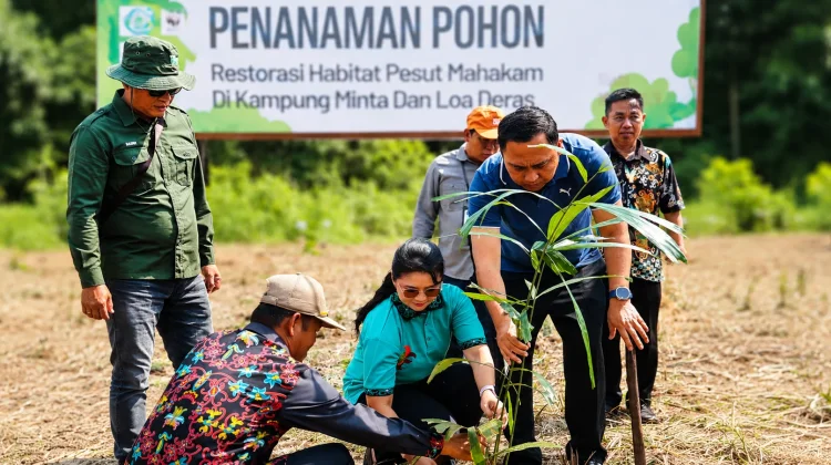 Bupati Kutai Barat Dorong Aren Jadi Sumber Ekonomi Baru Masyarakat Penyinggahan