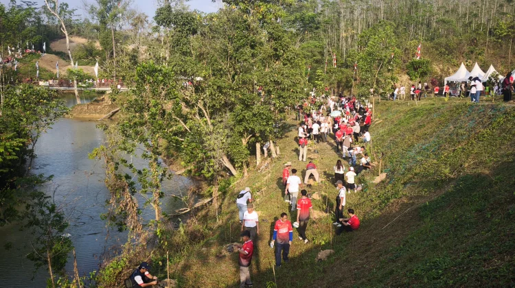 Otorita IKN Pecahkan Rekor MURI Penanaman Pohon Terbanyak di Taman Kota