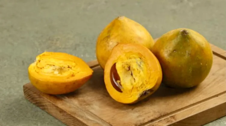 Langka dan Manis, Ini Manfaat Buah Campolay bagi Kesehatan