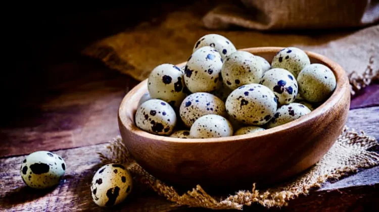 Penuh Gizi! Ini Kandungan Telur Puyuh dan Manfaatnya Bagi Tubuh