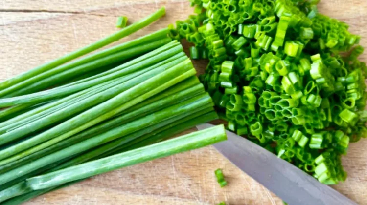 Lokio, Mengenal Bawang Batak Kaya Manfaat Bagi Kesehatan