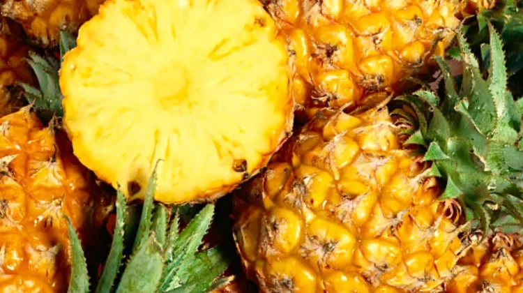 Rahasia Sehat Nanas: Buah Segar Kaya Manfaat untuk Wanita
